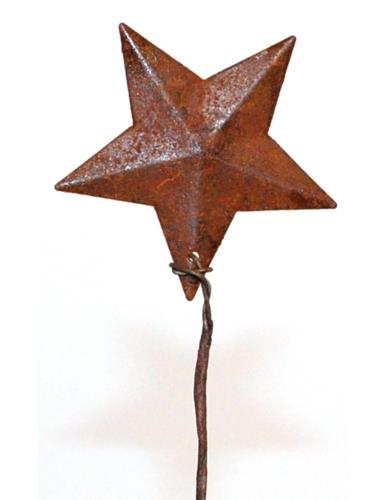 Gwiazda metalowa rdzewiona na piku