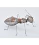 Mrówka metalowa Duża - Dekoracja