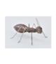 Mrówka metalowa Mała- Dekoracja