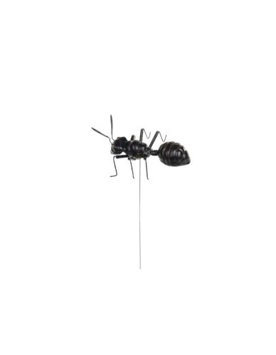 Mrówka Mała na piku - Dekoracja