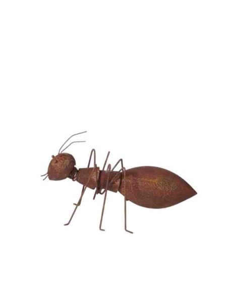 Mrówka Rdzewiona Mała - Dekoracja