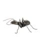Mrówka mosiądz - Dekoracja
