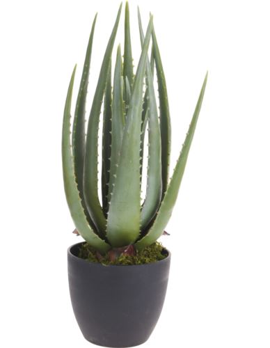 Aloes sztuczny w czarnej doniczce 45cm