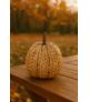 Dekoracja dynia natural D15cm